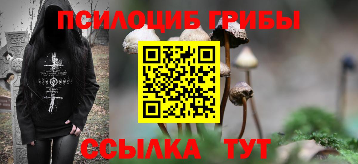 Гай  Псилоцибиновые грибы Psilocybine cubensis  Вход с VPN  Псилоцибиновые грибы Magic Shrooms 